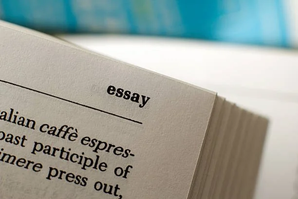 how to write a book title in an essay
