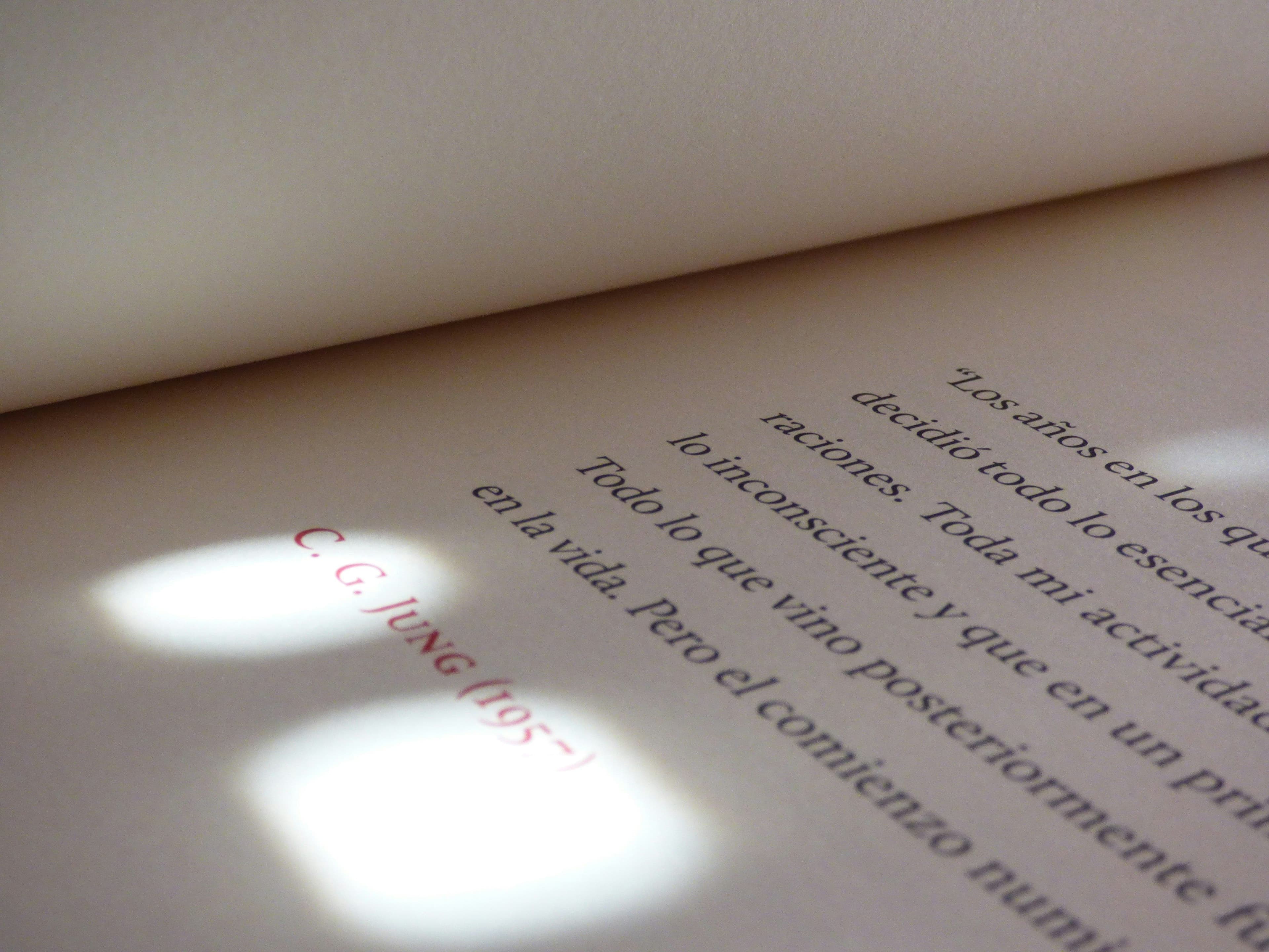 APA format title page